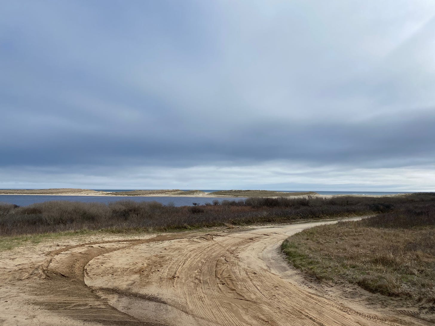 A dirt road under a dark cloudy sky curves around toward a pond and a line of dunes just beyond.
