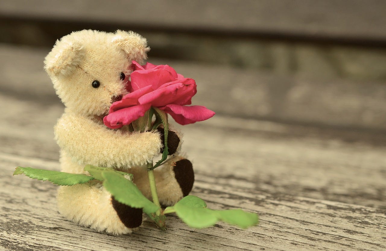 Teddy bear with rose