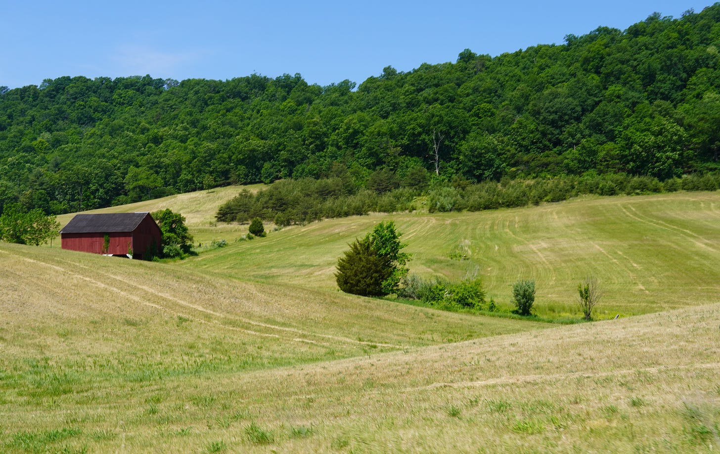 red barn tucked in rolling pasture.