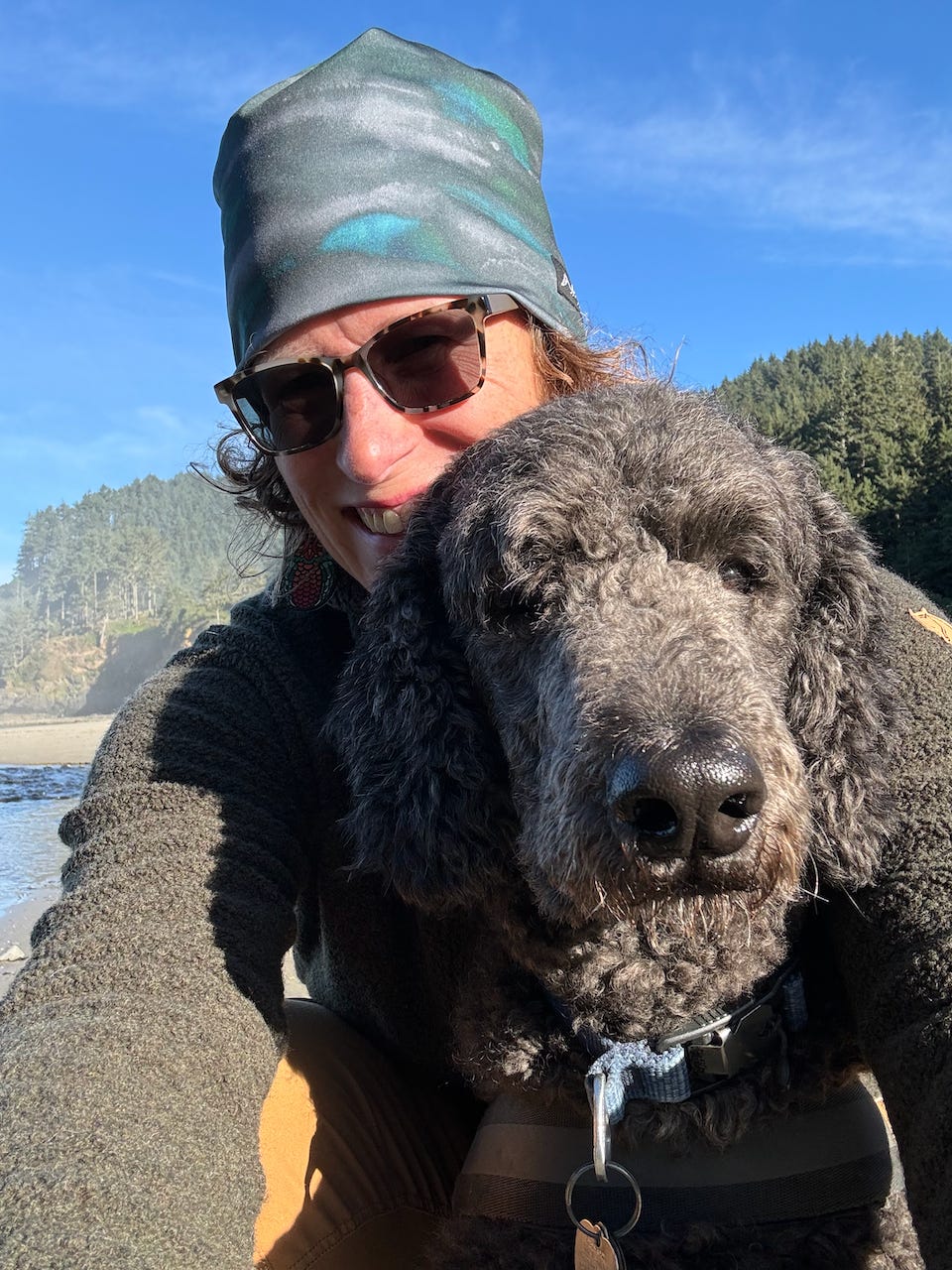 I'm starting to miss my houseplant succulents