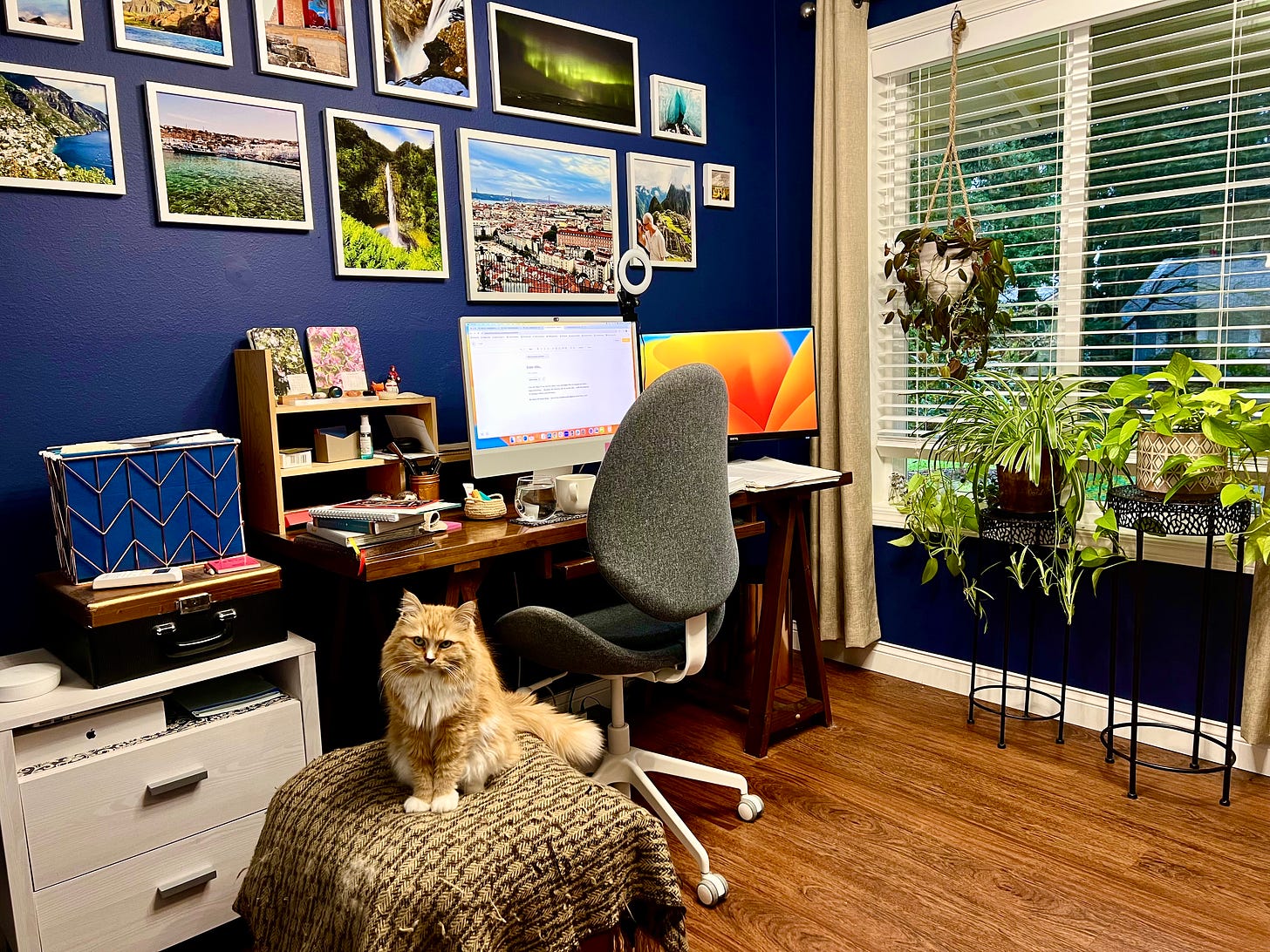 Picture of my office with desk, computer and orange cat
