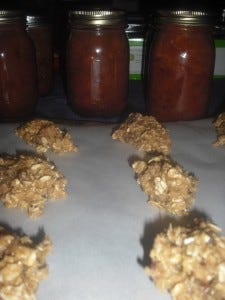 oatmeal cookies