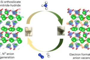 green ammonia diagram