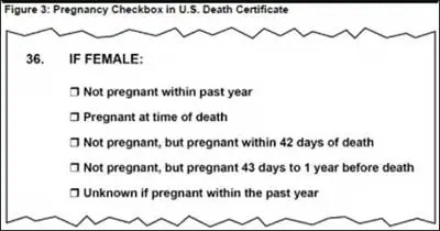 pregnancy-checkbox.jpg.webp