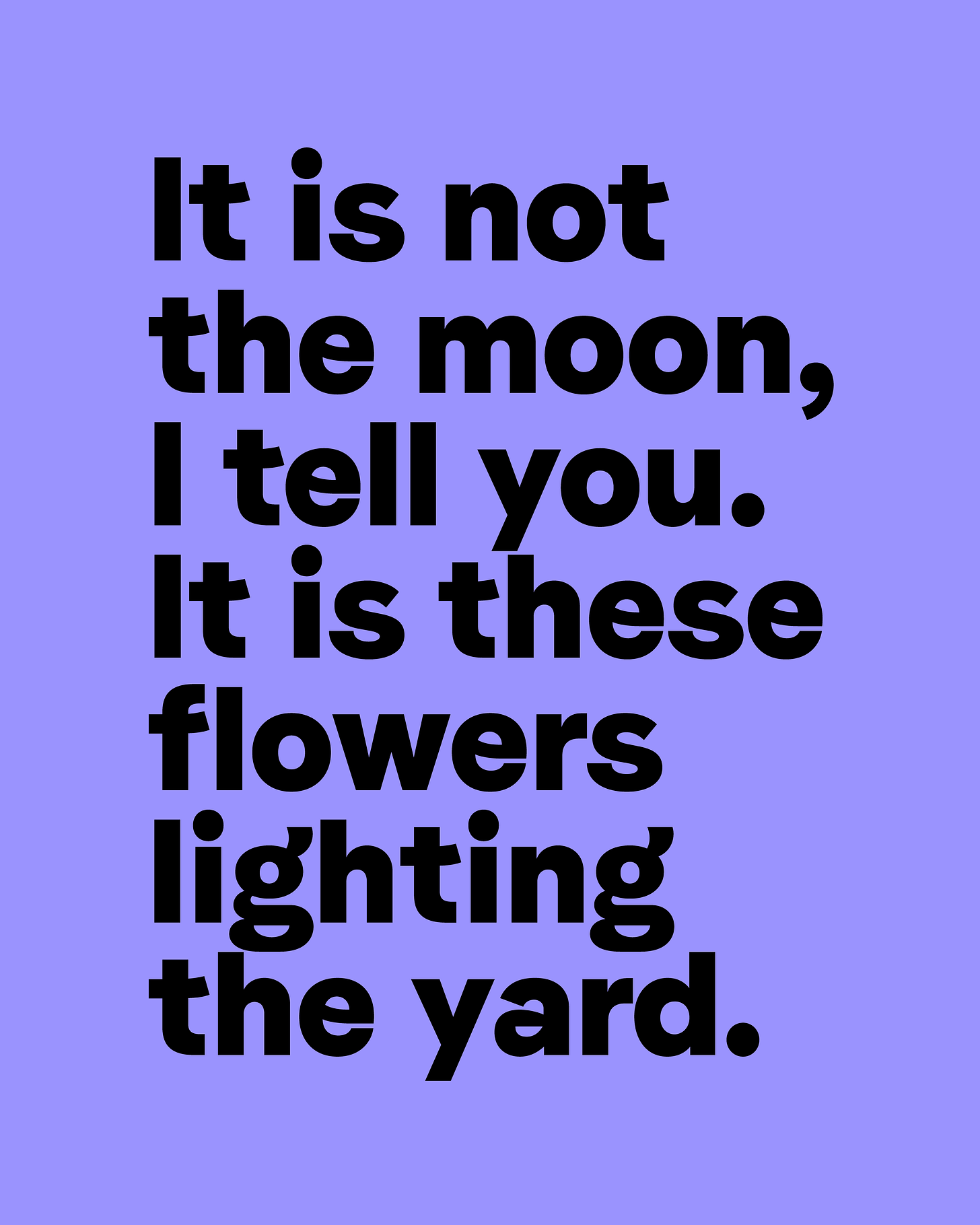 It Is These Flowers Lighting the Yard