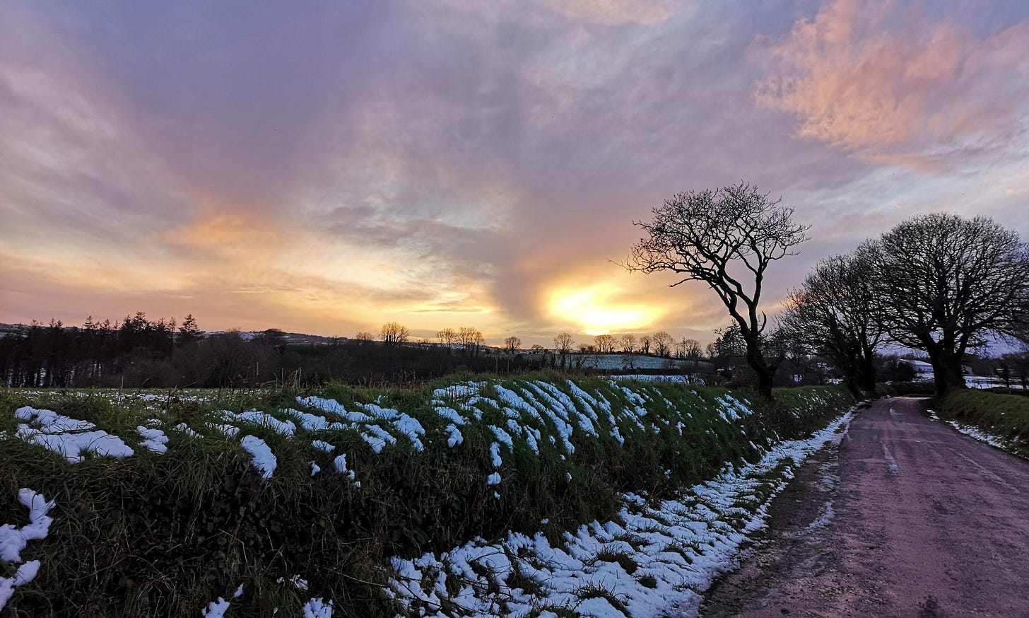 A road in the countryside with some melting snow, a pink sunset and stark trees