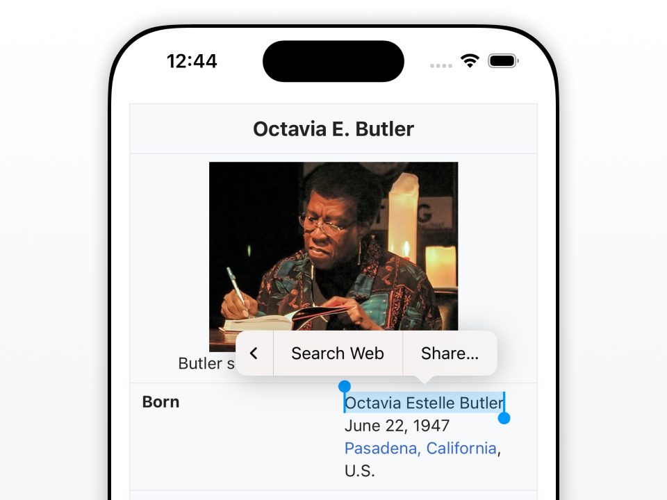 iOS context menu on selected text with the option for searching on the web.