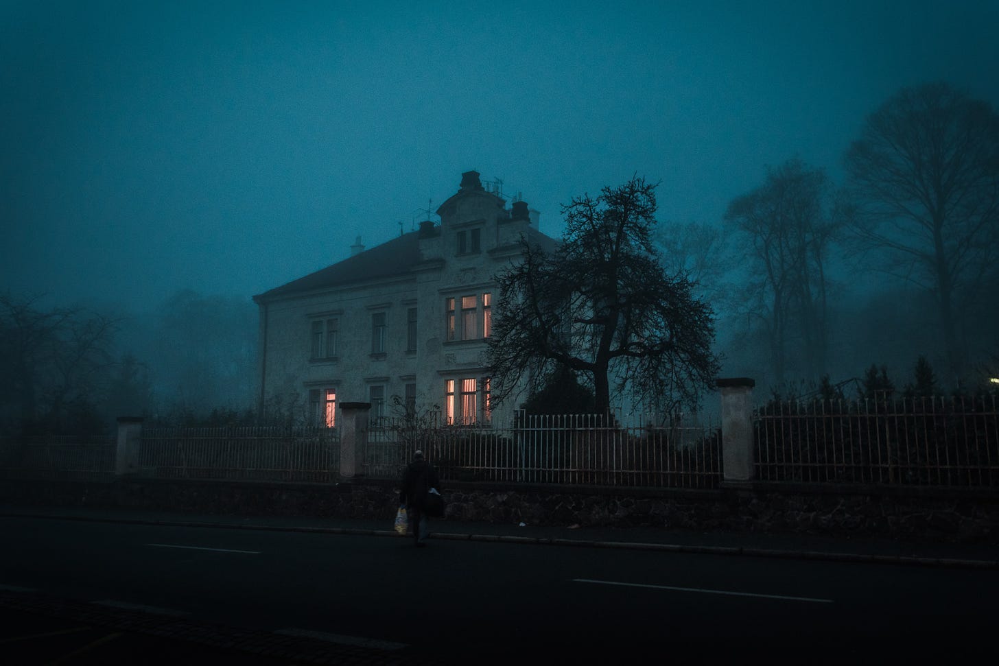 Photo credit: Ján Jakub Naništa. A large house in semi-darkness, surrounded by mist-shrouded trees. Lights are on in several windows. Beyond the metal railings outside, a solitary figure watches.