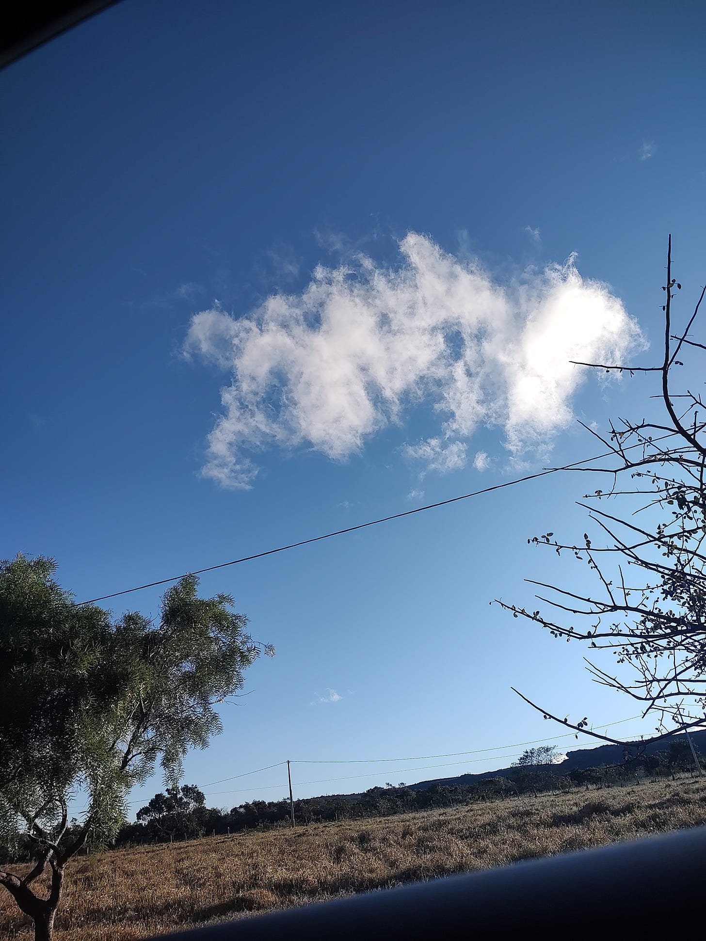 Foto tirada da janela do carro que mostra um céu bem azul com uma única nuvem branca fraca, vegetação rasteira acinzentada e morro ao fundo 