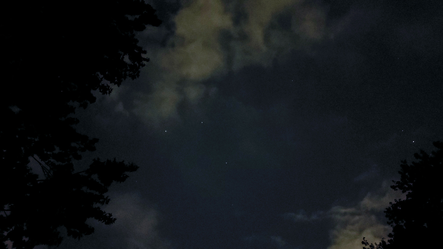 Night sky framed by trees that appear black. A few stars like white dots, and puffy white clouds.