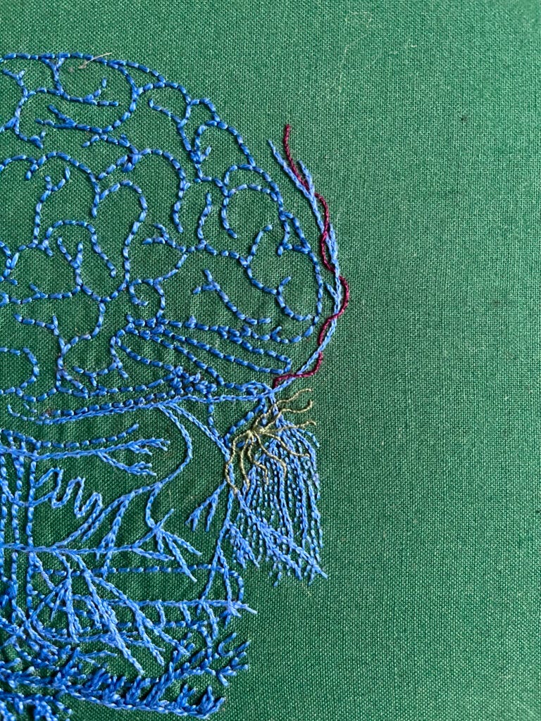 An embroidery of the front of a head stitched in blue thread on green cloth. The brain is stitched in back stitch in perlé thread. The facial nerves are stitched in single strand chain stitch and back stitch. A thin dark purple line entwines the nerve on the forehead and some curved light green lines emanate from the eye.