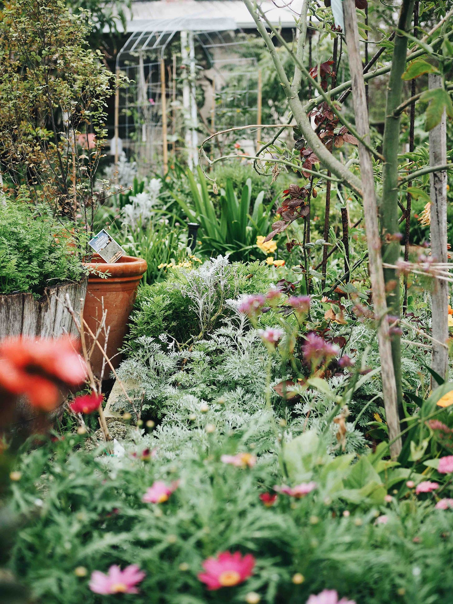 Densely planted beds help to protect the soil underneath