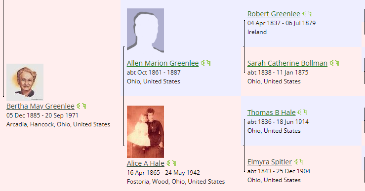 screenshot of Bertha (Greenlee) Callin's ancestry from her WikiTree profile