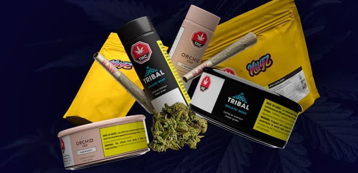 Home - Cannara Biotech