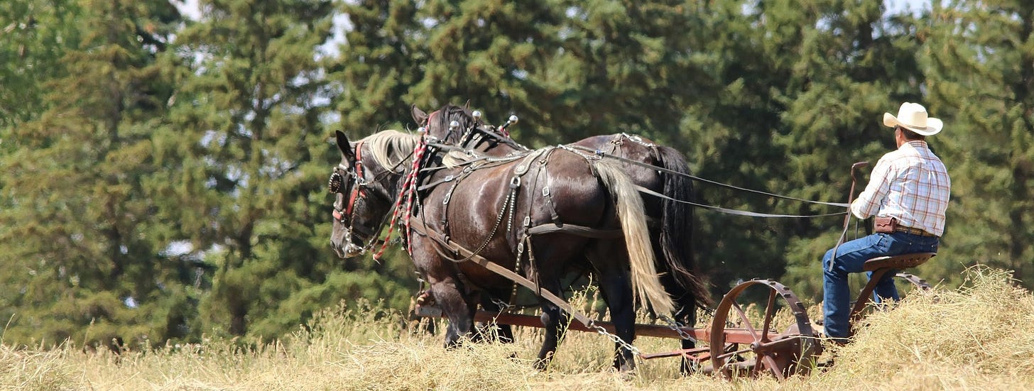 A farmer in his fields with a horse team.