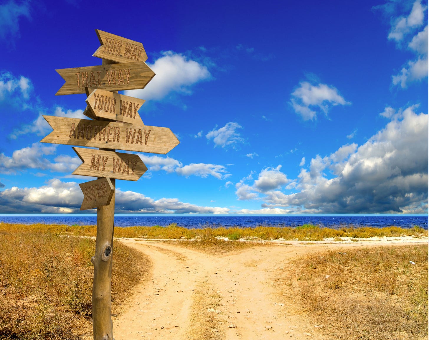 signpost and forking path under blue sky at shore