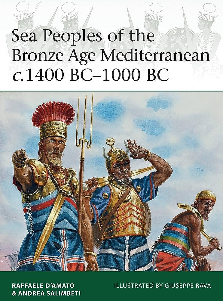 Sea Peoples of the Bronze Age Mediterranean c.1400 BC–1000 BC (Elite):  D'Amato, Raffaele, Salimbeti, Andrea, Rava, Giuseppe: 9781472806819:  Amazon.com: Books