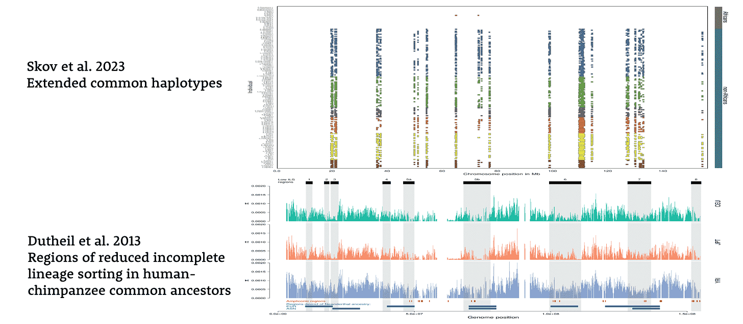 A comparison of regions of the X chromosome with extended common haplotypes and reduced ILS in human-chimpanzee ancestors A comparison of regions of the X chromosome with extended common haplotypes and reduced ILS in human-chimpanzee ancestors