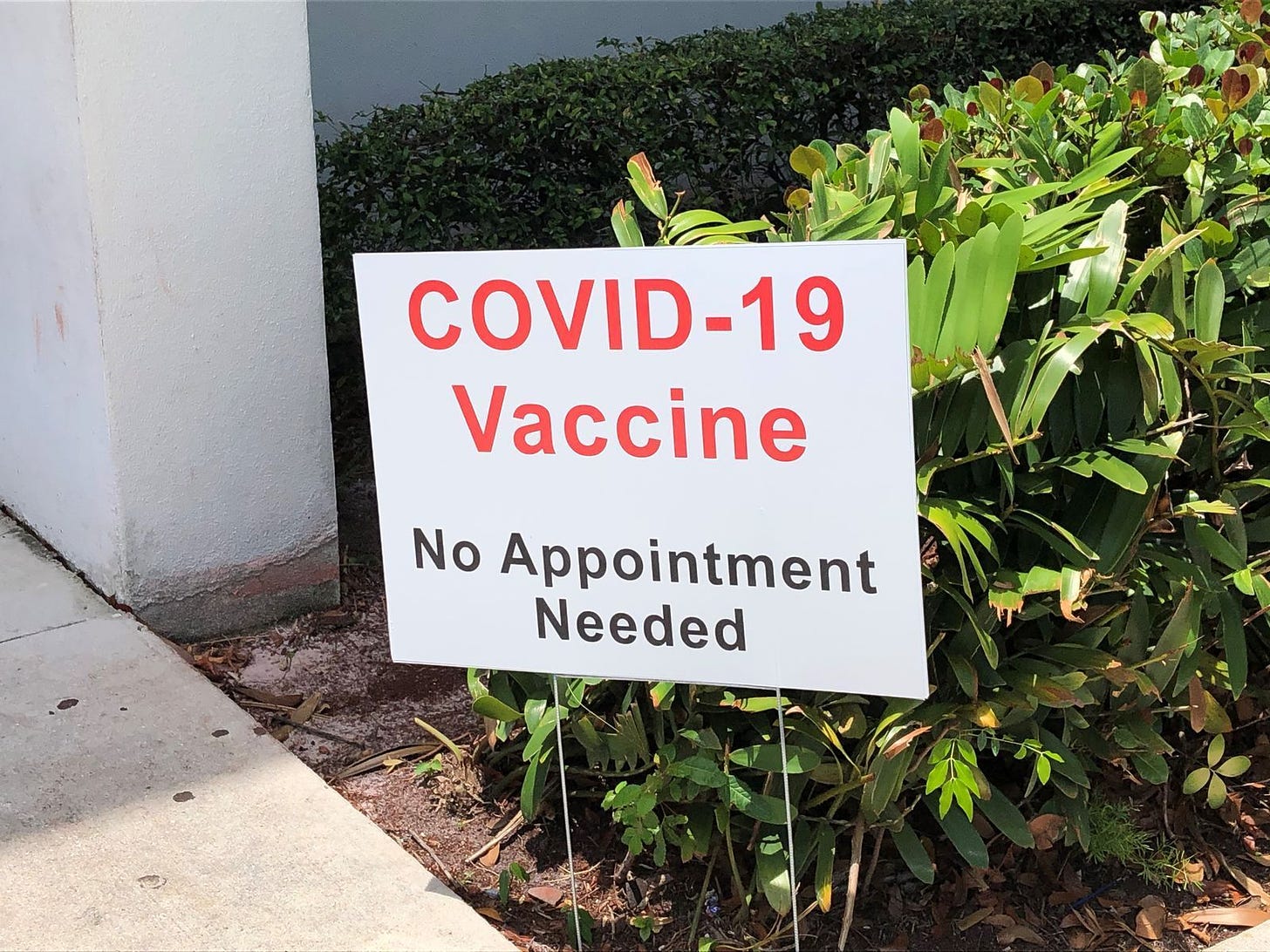 County GOP: COVID-19 vaccine is a bioweapon   photo 4