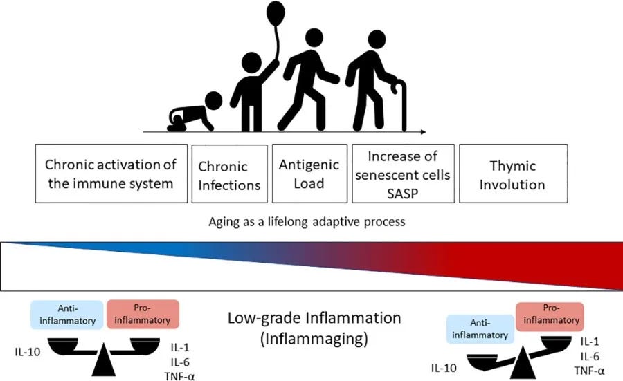 inflammation