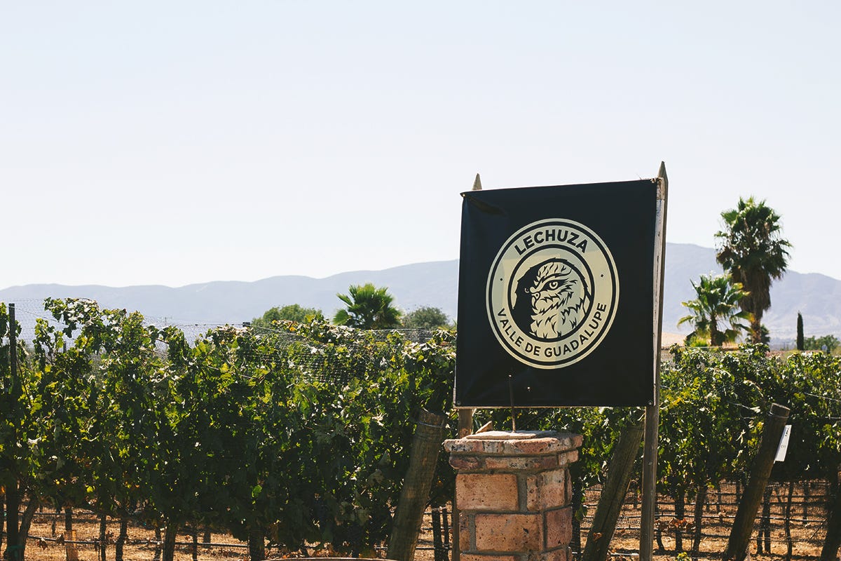 Lechuza Winery 2024 | ozogama.lt