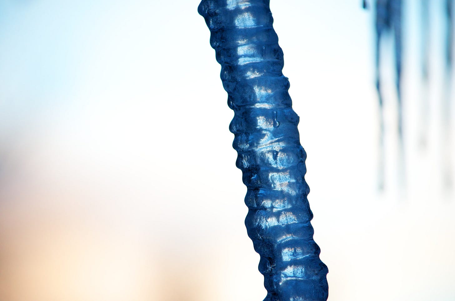 A wavy icicle formed in rows of ridges, and reflects blue light with a sunset background.