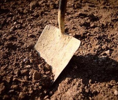 photo of shovel in soil