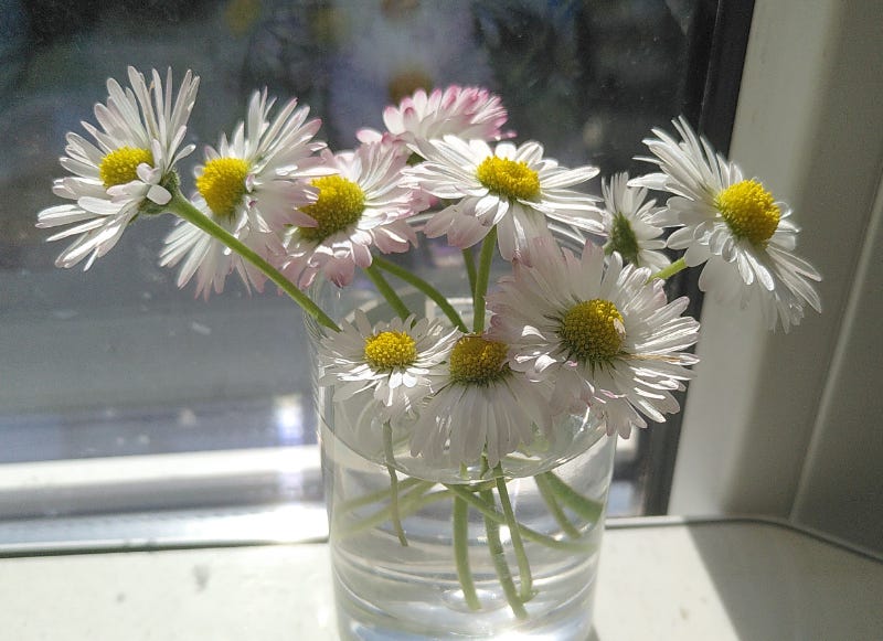Photograph of small white flowers in a small glass vase