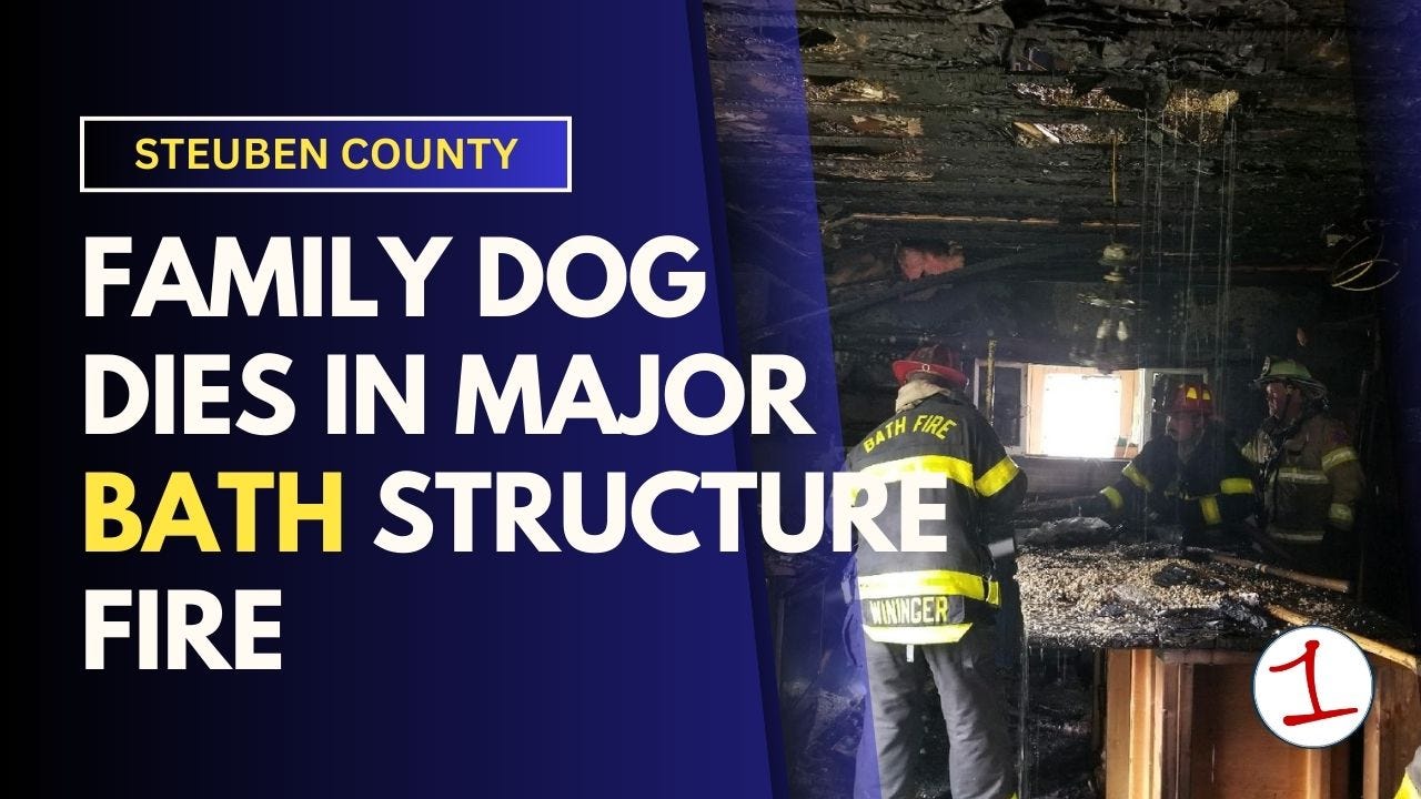 One dog dies, another saved after house fire in Bath