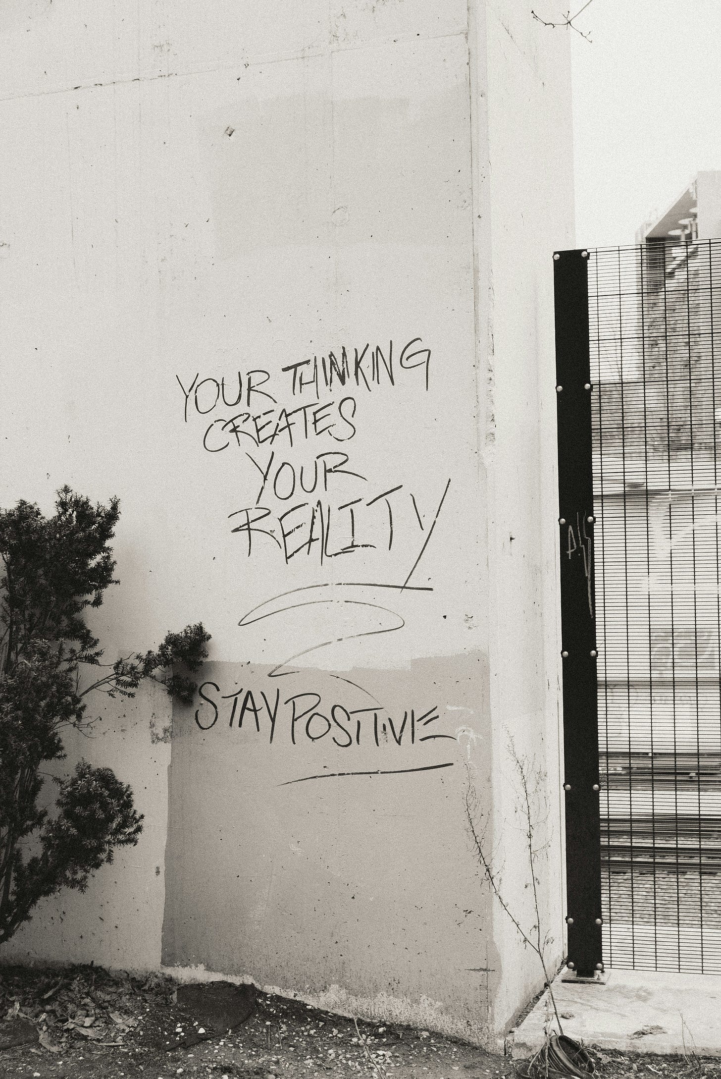 Graffiti on a concrete wall reads 'Your thinking creates your reality. Stay positive.' Black and white photo with a small bush in the foreground and a metal fence on the right. Graffiti on a concrete wall reads 'Your thinking creates your reality. Stay positive.' Black and white photo with a small bush in the foreground and a metal fence on the right.