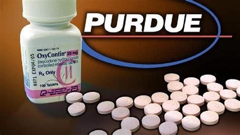 FDA approves new painkiller from maker of OxyContin, designed to curb ...