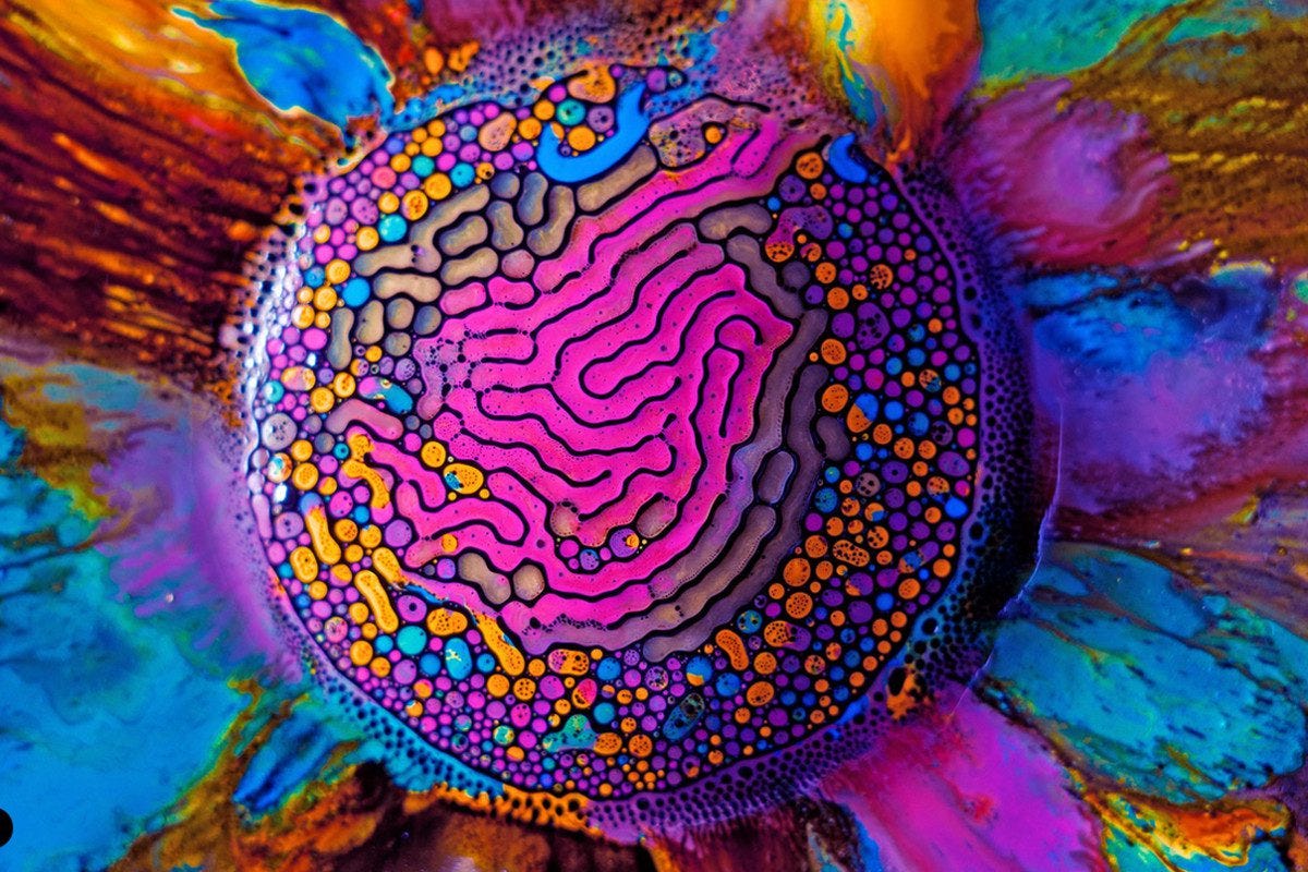 11 Fascinating Artists Inspired by Science - The Art of Education University