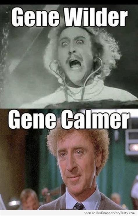 Gene Wilder - Meme Guy