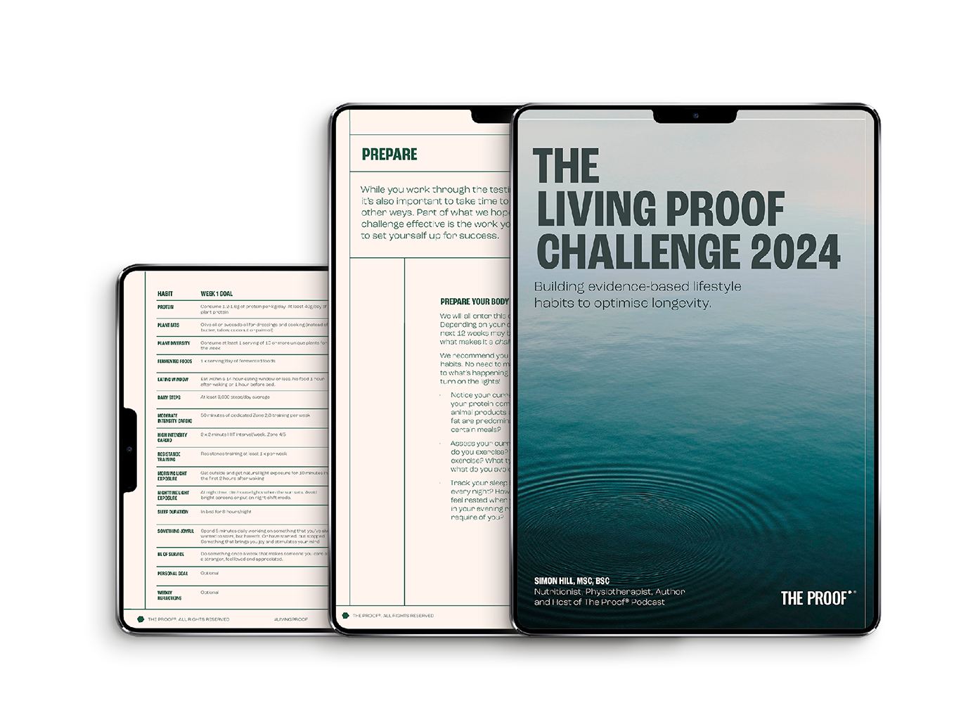 Challenge PDF - The Proof