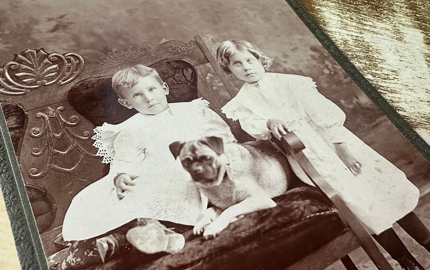 Photograph, taken at an angle, of the Cabinet Card studio portrait of the children and dog that I did my drawings from