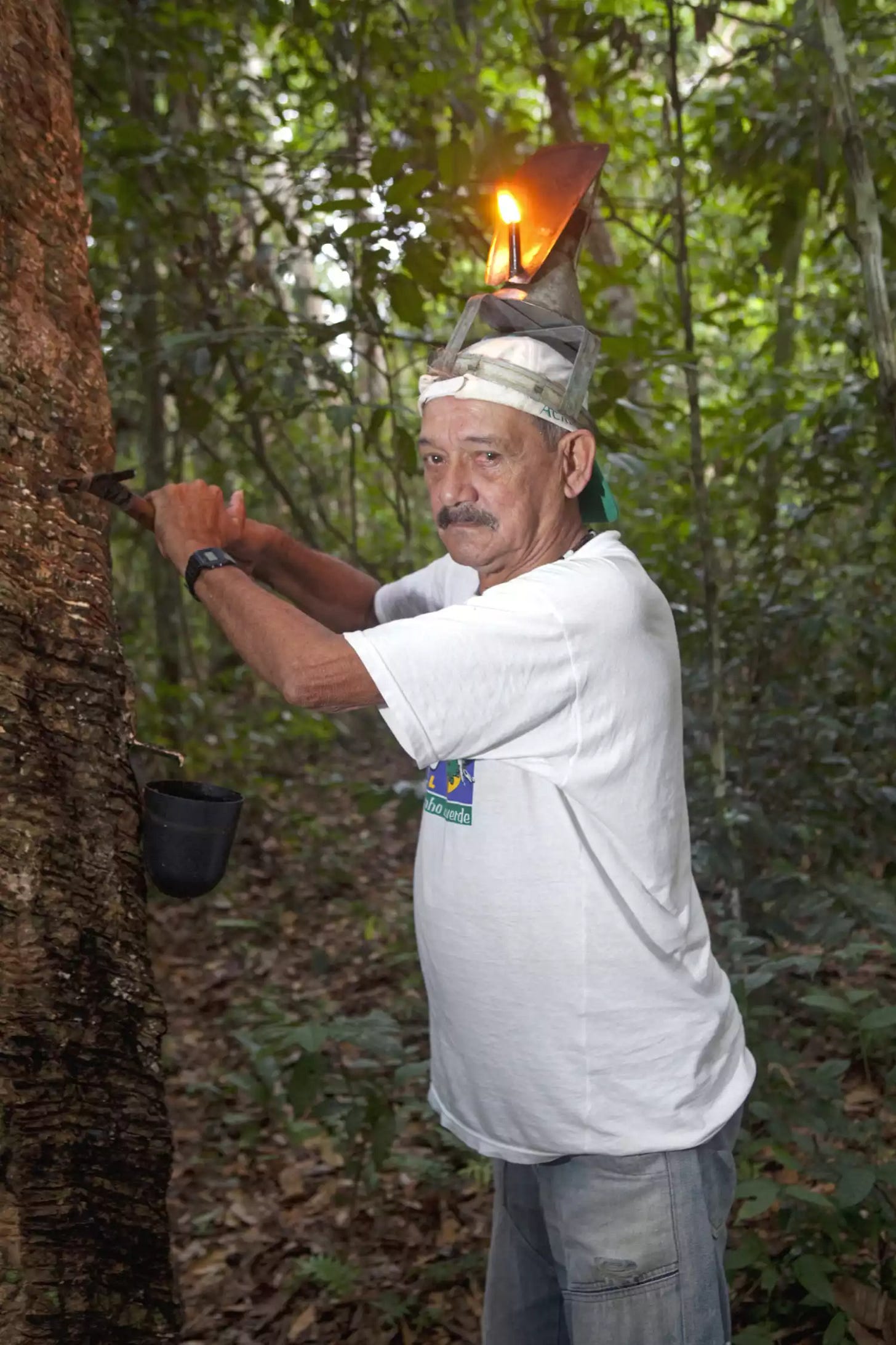 Chico Mendes was killed by a single shotgun blast at the age of 44.