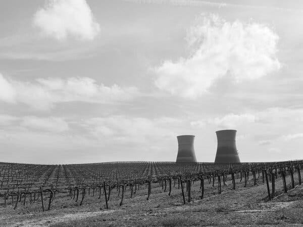 A photo of two cooling towers at a decommissioned nuclear plant in California, surrounded by vineyards.