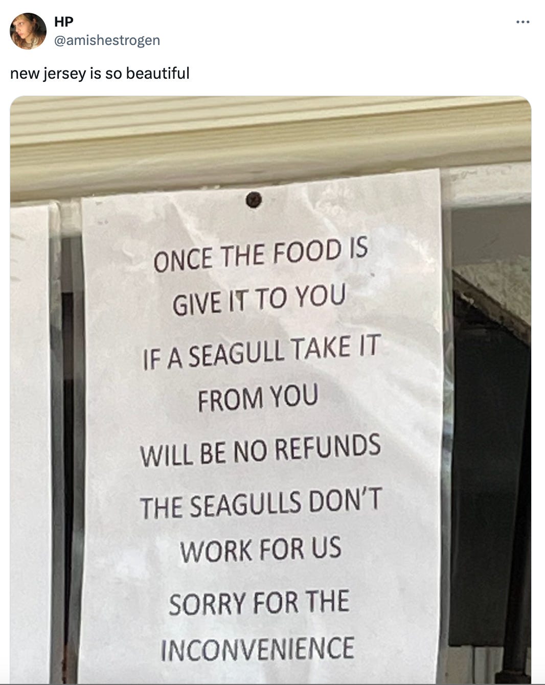 Tweet from HP (@amishestrogen) that reads "new jersey is so beautiful" and features an image of a laminated sign that says in all caps, "Once the food is give it to you if a seagull take it from you will be no refunds the seagulls don't work for us sorry for the inconvenience"