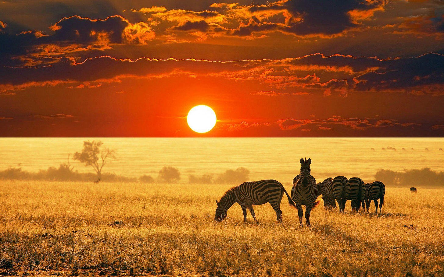 Africa