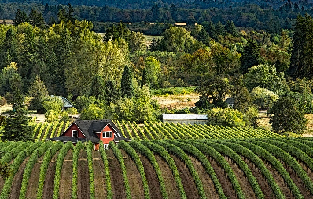 Willamette Valley wine - hot tips and comings and goings - Main Street  Drivers