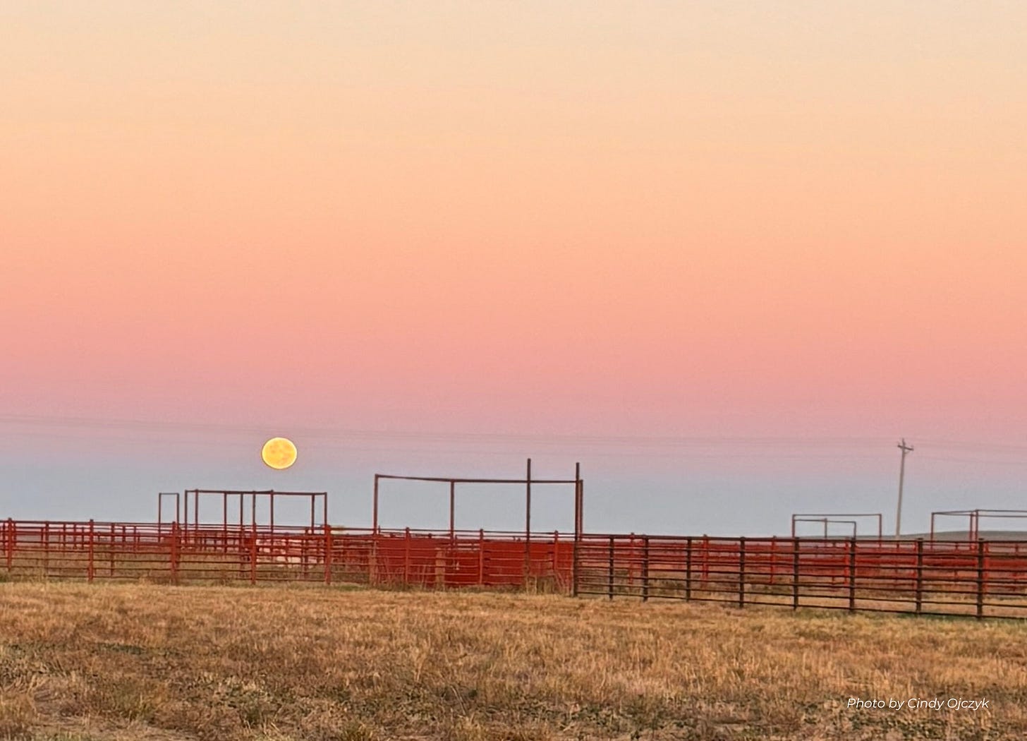 golden colored moon near the horizon with red pasture fencing