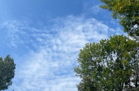 A photo of a blue sky, mottled with patchy clouds, and framed on both sides by the top branches of green-leaved trees.