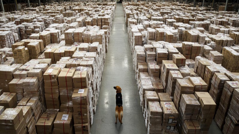 dog in a warehouse | Institute for Justice