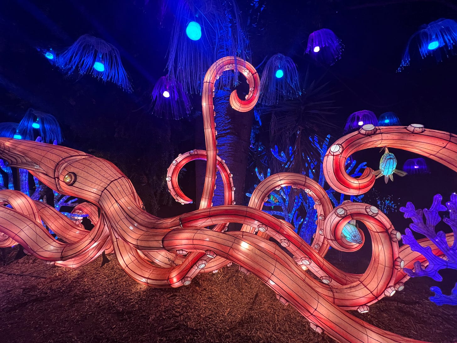 A giant squid sculpture, made from textiles and rope lights. Lit from within it's pink skin glows!