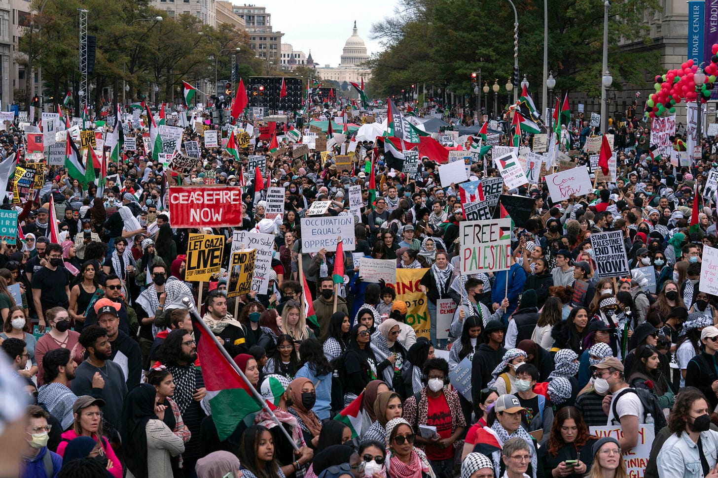 We're not complicit in this war': Thousands march in DC in support of  Palestinians, demand cease-fire - WTOP News