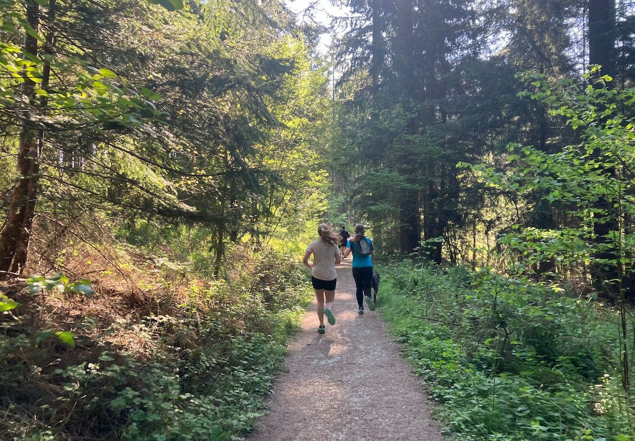 Runners on a narrow path through verdant landscape with sun shining