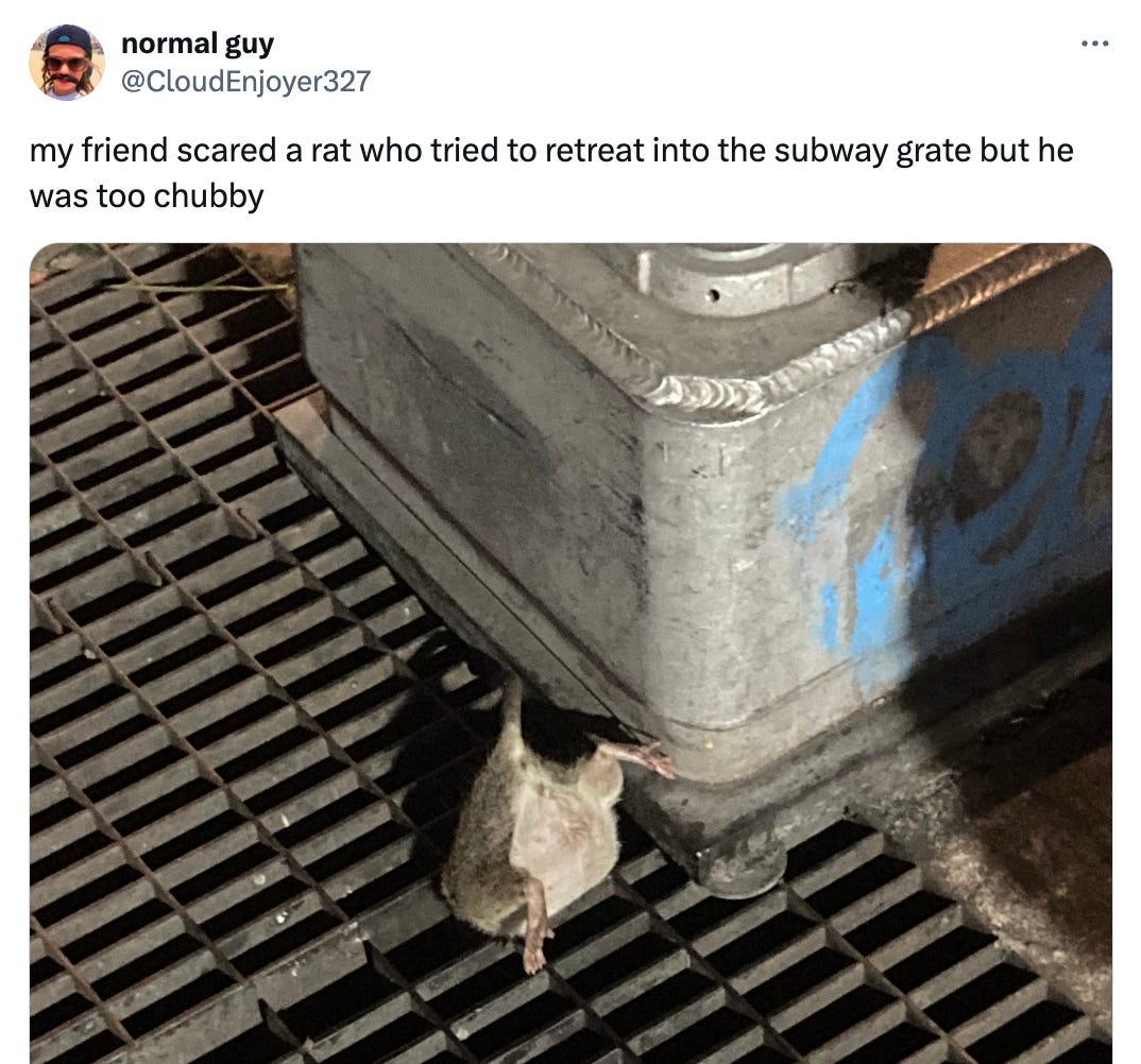 Tweet from normal guy @CloudEnjoyer327 that reads "my friend scared a rat who tried to retreat into the subway grate but he was too chubby" and features an image of a subway grate with the back half of a rat sticking out of it like a cartoon character. Its little legs are way up in the air.