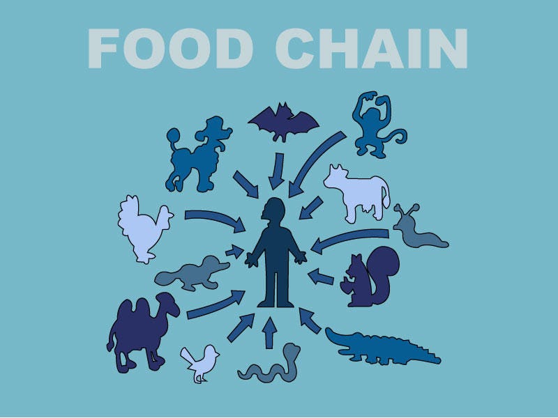 simpsons food chain by marrocka on DeviantArt