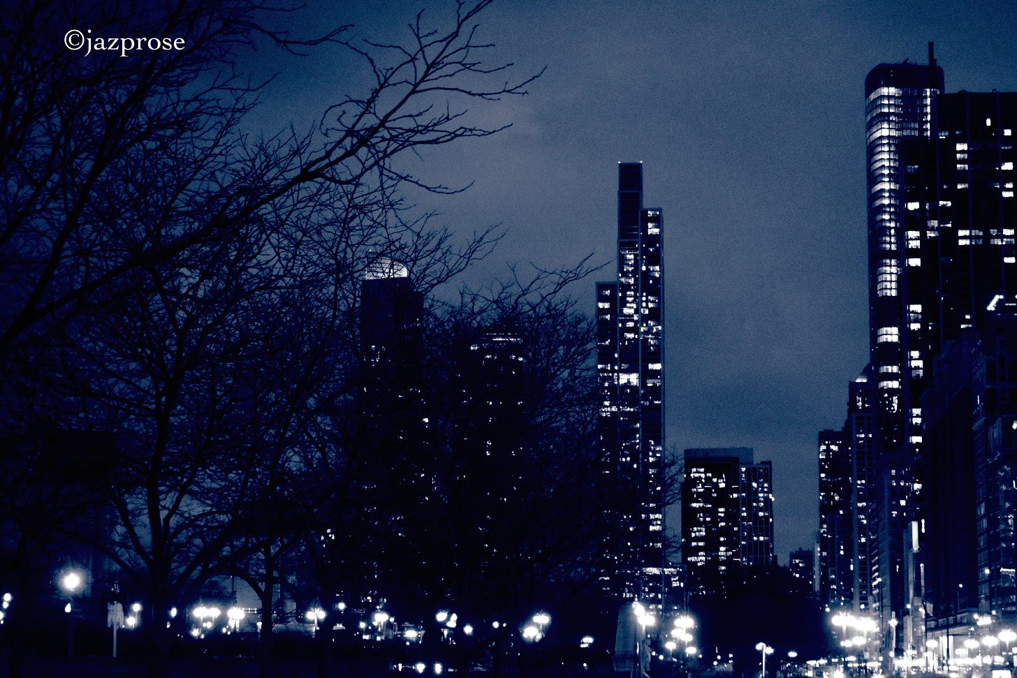 Photo of Chicago skyline at night by author 