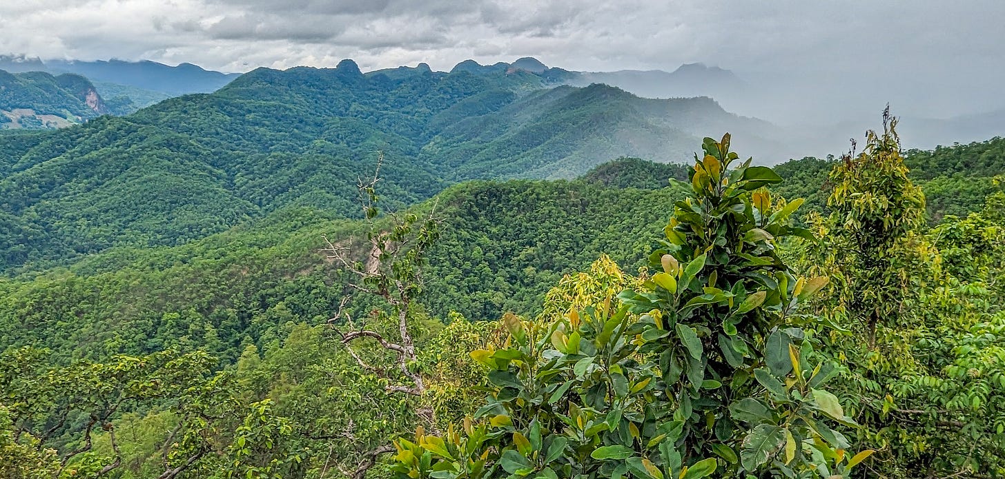 A picture showing the lush green mountains of Thailand stretching into the distance. 